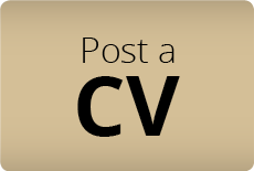 Post a CV